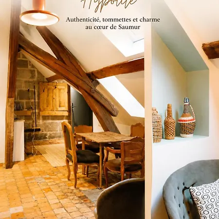 Apartment Maison Gaspard - Et De Charme A Saumur